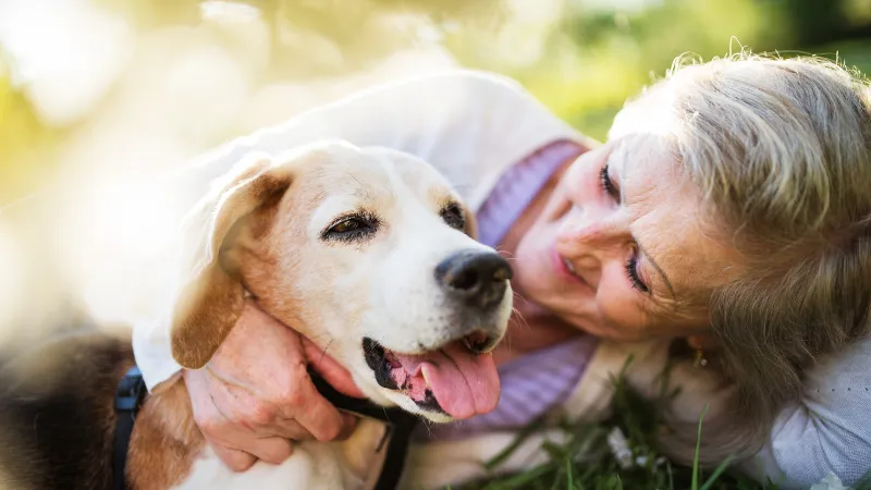 WP Caring 4 Canines Anxiety and Emotional Support Home 